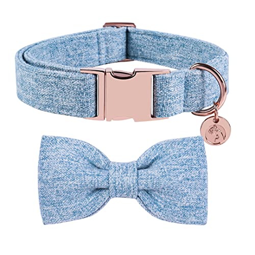 DOGWONG Hundehalsband mit Abnehmbarer Fliege, Blau Haustierhalsband Hundefliege Geschenk für Mädchen oder Jungen Hunde, Bequeme verstellbares Hundehalsband für kleine mittelgroße Hunde von DOGWONG