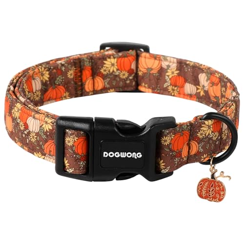 DOGWONG Hundehalsband mit Herbstkürbis-Design, verstellbar, Halloween, Kürbis, Sonnenblume, Hundehalsband für kleine, mittelgroße und große Hunde, Größe M von DOGWONG