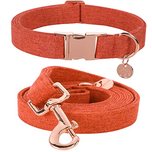 DOGWONG Hundehalsband und Leine, Baumwolle, weich, langlebig, für kleine und mittelgroße Hunde, Orange von DOGWONG
