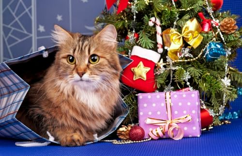 DOINEUFL 3 Stück Weihnachtskostüm Katze Hund, Weihnachtsmütze Hund Fliege Halsband Halstuch, Hundekostüm Weihnachten, Katzenkostüm Weihnachten, Hund Weihnachten Weihnachtsanzug Haustier Geschenk von DOINEUFL