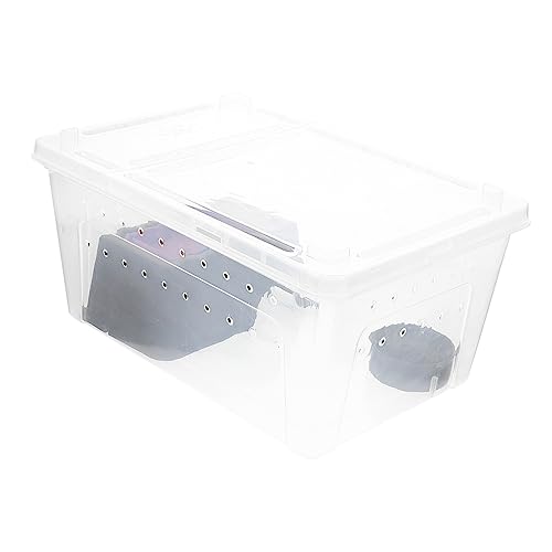 DOITOOL 1 Satz Futterbox Für Reptilien Gecko Critter Keeper Springspinnen-Terrarium Spinnenzuchtfall Reptichip Lebensraumkäfig Für Schneckenspinnen Schnecke Schlange Frosch Plastik von DOITOOL