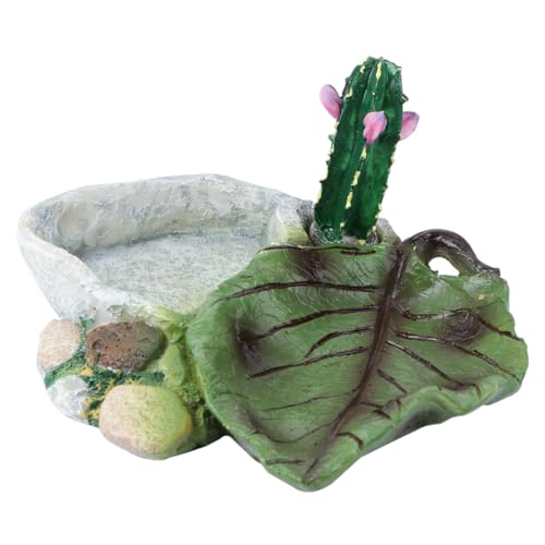 DOITOOL 1 Stück Glasbehälter Futternapf Für Bartagamen Reptilienschale Gecko-Terrarium Zuchttablett Futternapf Für Reptilien Terrarien Spielzeug Reptilienbecken Panzer Chip von DOITOOL