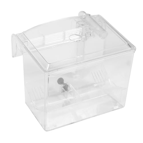 DOITOOL 1stk Isolierte Zuchtbox Glasaquarium Zubehör Für Aquarien Eingewöhnungsbrüterei Inkubator Fische Schlüpfen Betta-Aquarium Plastik Weiß Landwirtschaftliches Netz Baby Jungfische von DOITOOL