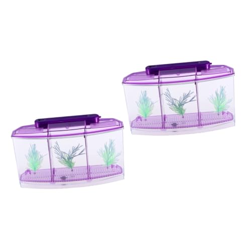 DOITOOL 2st Goldfischglas Desktop-Aquarium Ökologisches Aquarium Aquarien Für Kinder Selbstreinigendes Aquarium Kinder Fischbecken Mini-Aquarium Büro Violett Schreibtisch Betta-Panzer von DOITOOL