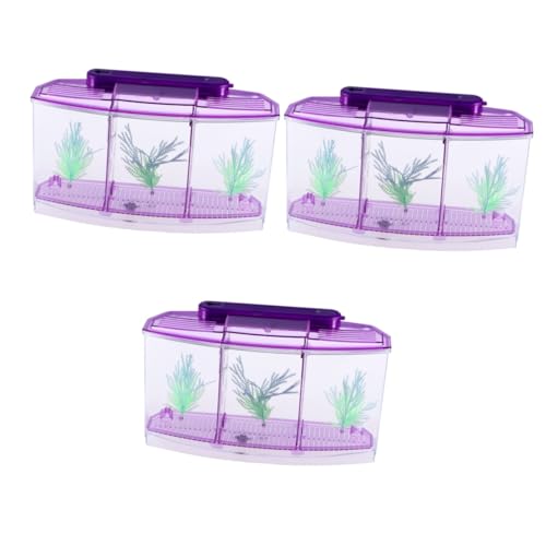 DOITOOL 3st Mini-Aquarium Kinder Fischbecken Aquarien Für Kinder Fischbecken Für Kinder Desktop-Aquarium Ökologisches Aquarium Selbstreinigendes Aquarium Klein Violett Büro Goldfischglas von DOITOOL