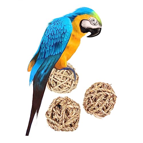 DOITOOL 3 Stücke Gras Woven Papagei Kauen Spielzeug Auto Vogel Spielzeug Für Nymphensittich Conure Sittich von DOITOOL