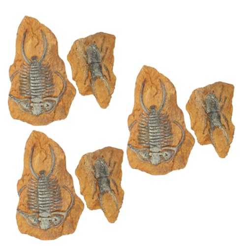 DOITOOL 6 STK simuliertes Harzfossil simulierte Trilobiten-Fossilgesteine Fossilien-Ausgrabungsset pet Supplies haustierbedarf Wüstendekor Krabbelndes Spielzeug kriechende Landschaft von DOITOOL