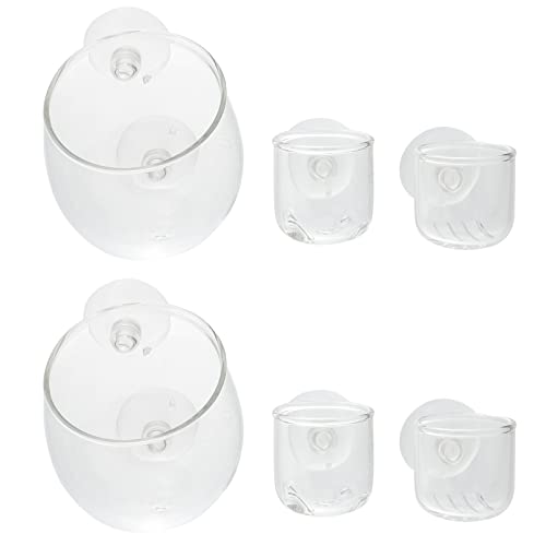 DOITOOL Pflanzentöpfe 6Pcs Aquarium Rote Würmer Feeder Floating Bloodwurm Fütterungstasse Pflanzenkegelbecher Futterauftau Tauke mit Saugbecher Zur Fütterung Fütterung Fisch Wasserhause von DOITOOL