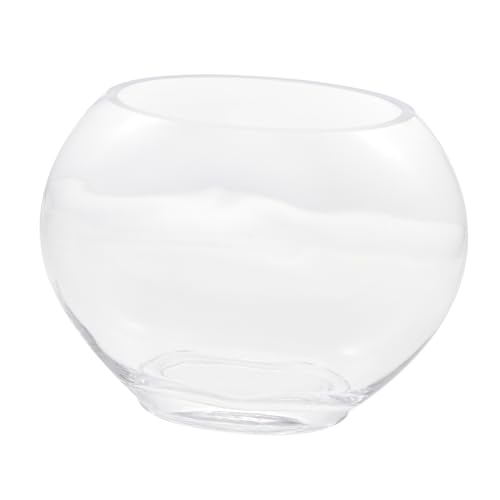 DOITOOL Mini-Aquarium Aquarium Glas-Aquarium Saftiger Blumentopf Aus Glas Dekorative Landschaftsbastelflasche für Zuhause von DOITOOL