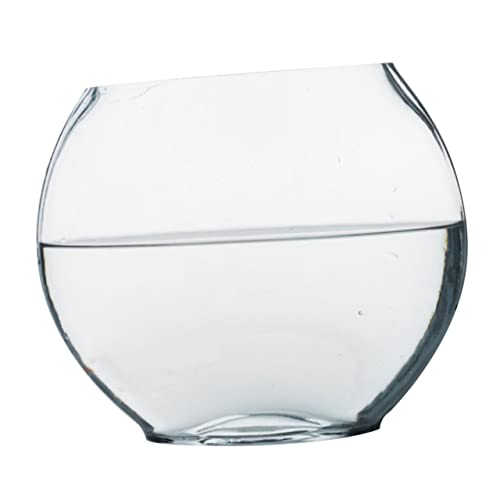 DOITOOL Einzigartiges Aquarium Aus Glas für Den Schreibtisch Aquariumschale für Kampffische Dekoration für Zuhause und Das Büro 590 G. von DOITOOL