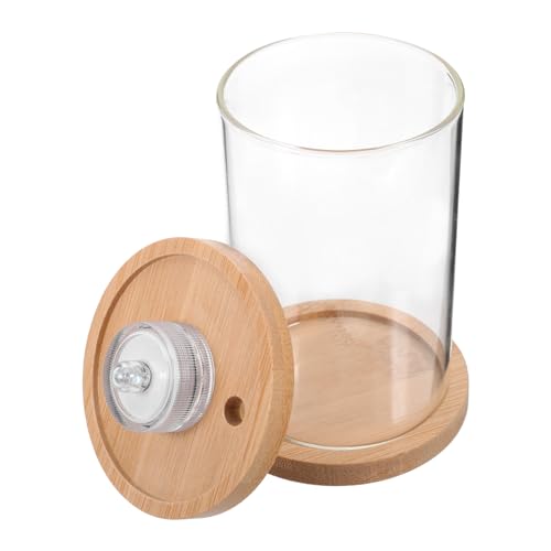 DOITOOL Glas Eimer Aquarium Schnecken Terrarium Mini Holz Panzer von DOITOOL