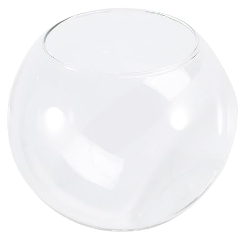 DOITOOL Hamster Nest Aus Glas Hamsterhöhlen Glas Sandbad Für Hamster Igelhausnest Badewanne Hamsterglas Lebewesen Sandbad Kühlnest Für Hamster Terrarienbehälter Glas Chinchilla Haustier von DOITOOL