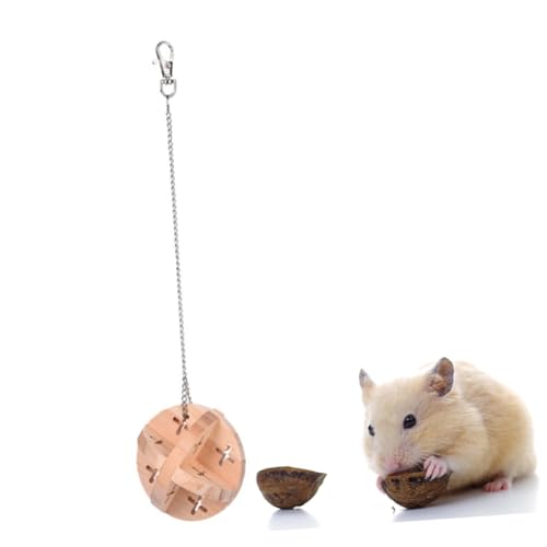 DOITOOL Hamsterkugel mit Rasselgeräuschen Spielzeug für Hamsterzähne Bälle Spielen Kätzchen Bälle Kugelspielzeug für Hamster kleines Haustier Spielzeuge Glocke Kugel Hamsterbedarf Hölzern von DOITOOL