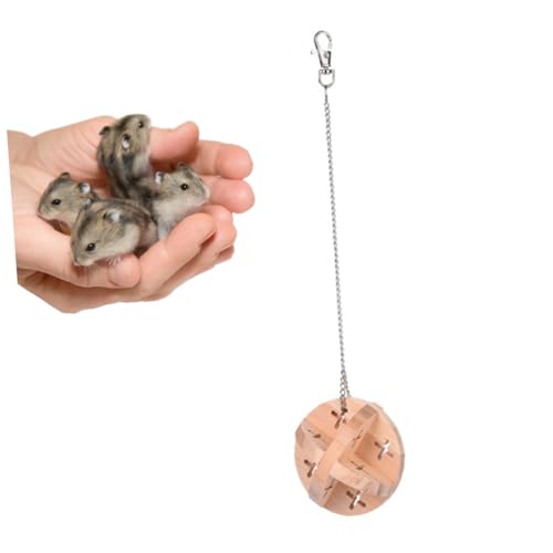 DOITOOL Kugelspielzeug Für Hamster Bälle Spielen Hamsterglockenkugeln Rasselspielzeugball Für Katze Kätzchen Bälle Bambus Backenzahn von DOITOOL