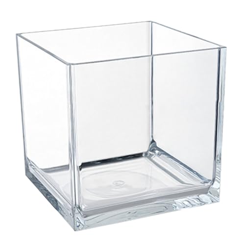 DOITOOL Mini-Aquarium Terrarienbecken Glasbehälter Für Terrarien Pflanzenterrarium Tischaquarium Quadratische Fischschale Fischglasdekorationen Aquarienbecken Für Den Haushalt Betta-Panzer von DOITOOL