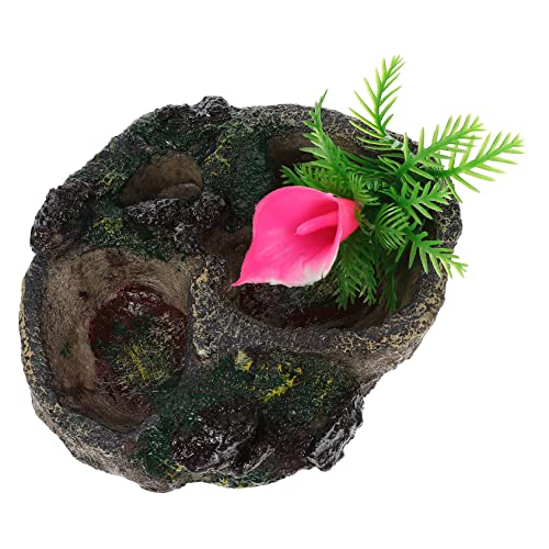 DOITOOL Futterspender Für Reptilien Futternapf Aus Kunstharz Wassernapf Für Reptilien Schildkrötenbecken Futternapf Für Eidechsen Terrarium-Dekoration Für Den Lebensraum Ihres Haustiers DOITOOL Futterspender Für Reptilien Futternapf Aus Kunstharz Wassernapf Für Reptilien Schildkrötenbecken Futternapf Für Eidechsen Terrarium-Dekoration Für Den Lebensraum Ihres Haustiers von DOITOOL
