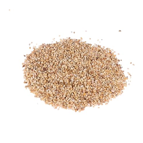 DOITOOL Aquariumkies 500g Aquariumsand Steinbodensand Natürliche Dekoration für Aquarien von DOITOOL