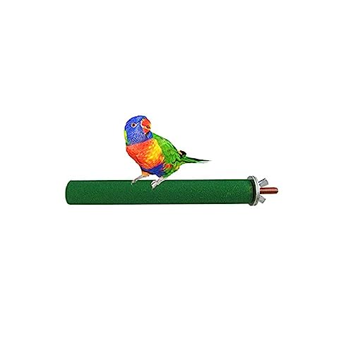 DOITOOL Parrot Stand Rack Für Vögel Zufällige Farben Für Papageien Und Andere Kleine Vögel Fördert Balance Und Koordination Einfach Zu Befestigen DOITOOL Parrot Stand Rack Für Vögel Zufällige Farben Für Papageien Und Andere Kleine Vögel Fördert Balance Und Koordination Einfach Zu Befestigen von DOITOOL