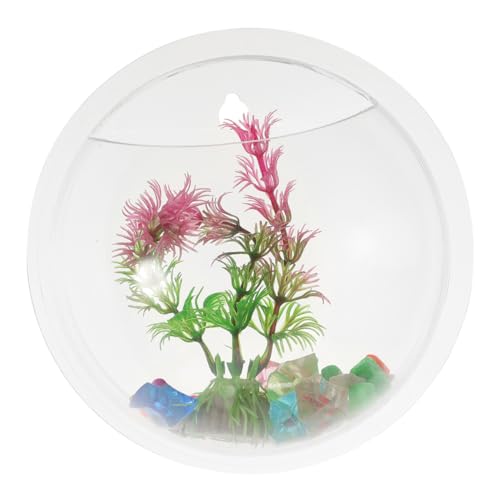 DOITOOL Dekorative -montiert Acryl Fisch Tank Pflanzer Aquarium Vase für Home Office Dekoration von DOITOOL