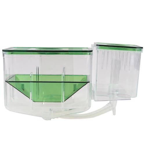 Fischzuchtbox, transparente Aquariumbox, Doppelzucht-Aquarium, Frittiere, Brutkasten für Guppy, Baby, Fischbrutstätte, Aquarium-Trennwand von DOITOOL