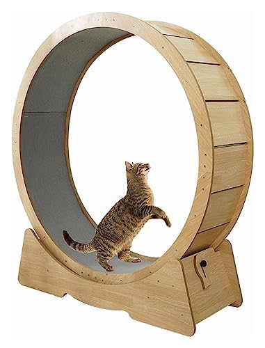 Katzenlaufrad, Laufrad Für Katzen, Katzen-Laufrad mit Teppichlaufbahn, Katzen-Riesenrad im Hamsterrad-Stil von DOKERS