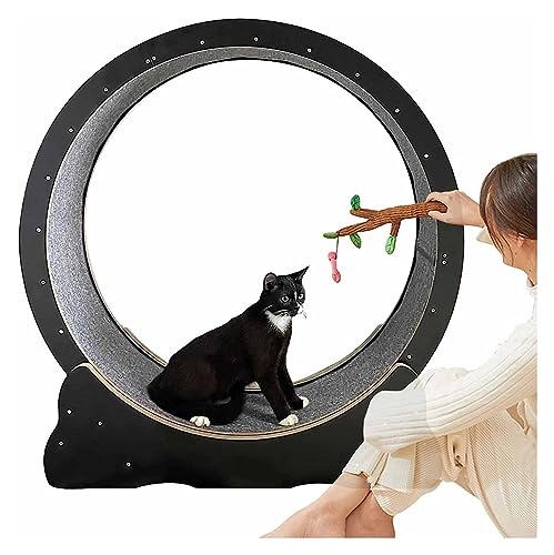 Katzenlaufrad, Laufrad Für Katzen, Katzenlaufband for Hauskatzen, Laufrad for kleine, mittelgroße und große Katzen, Trainingsgerät for Kätzchen(100cm/39.4") von DOKERS