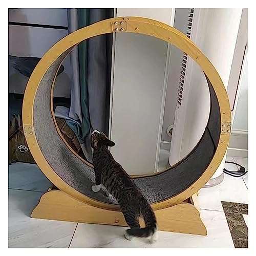 Katzenlaufrad, Laufrad Für Katzen, Laufband for Katzen, Laufrad mit Einklemmschutz for Kätzchen, Katzenspielzeug/Katzenmöbel(113cm/44.5") von DOKERS