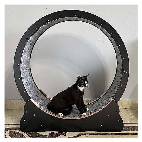 Katzenlaufrad, Laufrad Für Katzen, Laufband for Katzen, stabil und verschleißfest, multifunktionales Spielzeug for Katzen und Hamster, Laufrad, reibungsloser Lauf(110cm/43.3") von DOKERS