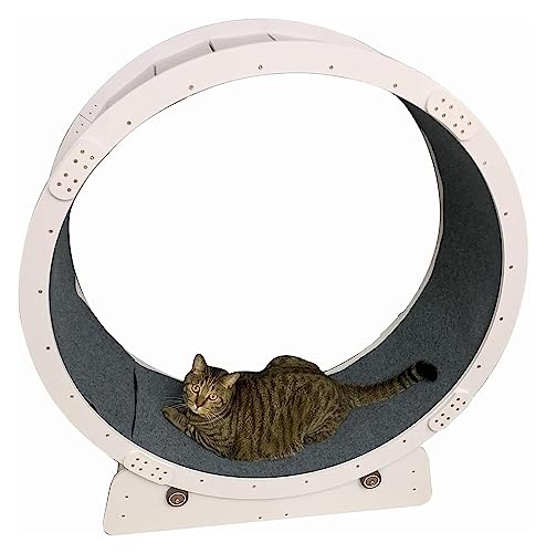 Katzenlaufrad, Laufrad Für Katzen, Laufband for Katzen im Innenbereich mit 2 auswechselbaren Decken, Haustierspielzeug for Abnehmen for Katzen, Riesenrad for Katzen – sanfter Lauf von DOKERS