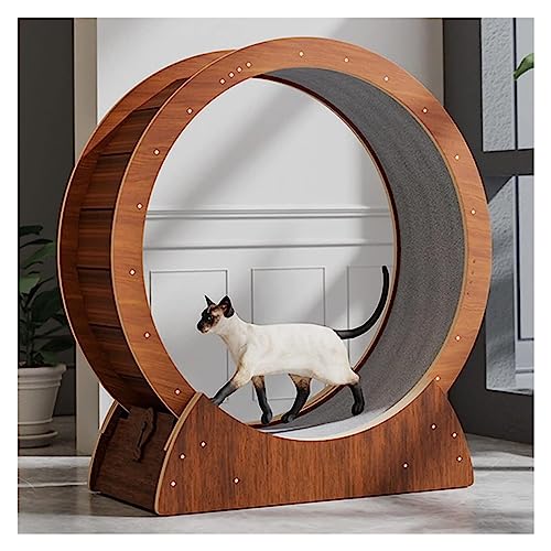 Katzenlaufrad, Laufrad Für Katzen, Laufrad for Katzen, Trainingsgerät for Hauskatzen, Multifunktions-Katzen-Riesenrad/Katzenspielzeug/Katzenmöbel(100cm/39.4") von DOKERS