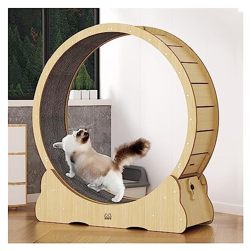 Katzenlaufrad, Laufrad Für Katzen, Laufrad for Katzen, for Bewegung bei Katzen, Spinnrad for kleine/mittlere/große Katzen(90cm/35.4") von DOKERS