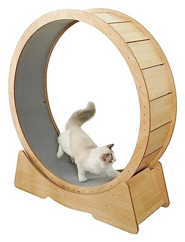 Katzenlaufrad, Laufrad Für Katzen, Laufrad for Katzen mit Einklemmschutz, Riesenrad zur Gewichtsabnahme bei Katzen und Kätzchen, als Katzenkratzbaum/Katzenspielzeug von DOKERS