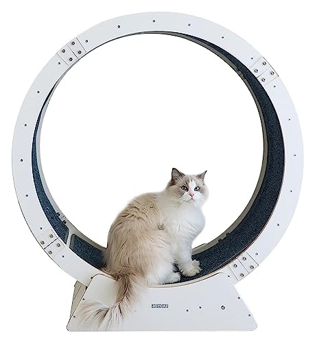 Katzenlaufrad, Laufrad Für Katzen, Laufrad for Katzen mit Einklemmschutz, leises und stabiles Katzen-Spinnrad, Spielzeug for Kätzchen/Kätzchen/kleine Hunde(120cm/47.2") von DOKERS