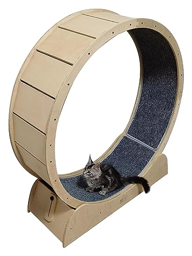 Laufrad Für Katzen, Katzenlaufrad, Haustierfreundliches Katzenlaufband, Tiny Gap Katzenlaufrad for Hauskatzen(100cm/39.4") von DOKERS