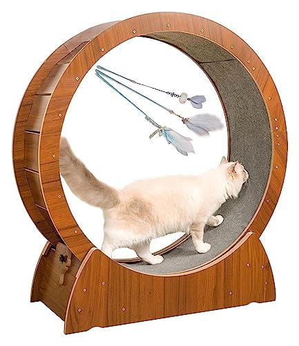 Laufrad Für Katzen, Katzenlaufrad, Laufband for Katzen im Innenbereich mit 3 Katzenspielzeugstäben, Riesenradspielzeug for kleine/mittlere/große Katzen(100cm/39.4") von DOKERS