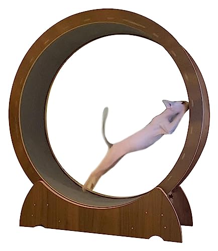 Laufrad Für Katzen, Katzenlaufrad, Laufrad for Katzenhamster zur Gewichtsabnahme von Hauskatzen, Spielzeug for Hauskatzen/-kätzchen/-kätzchen, einfache Montage(100cm/39.4") von DOKERS