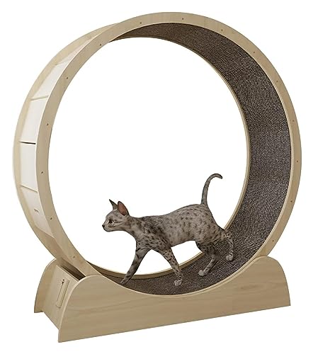 Laufrad Für Katzen, Katzenlaufrad, Robustes Laufradspielzeug for Katzen, Indoor-Katzen-Spinnrad-Trainingsgerät, for kleine/mittelgroße/große Katzen(100cm/39.4") von DOKERS