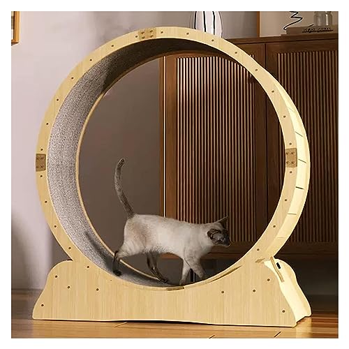 Laufrad Für Katzen, Katzenlaufrad, Tiny Gap Katzenlaufrad mit Schloss, Haustierfreundliches Katzenriesenrad/Haustierspielzeug(100cm/39.4") von DOKERS