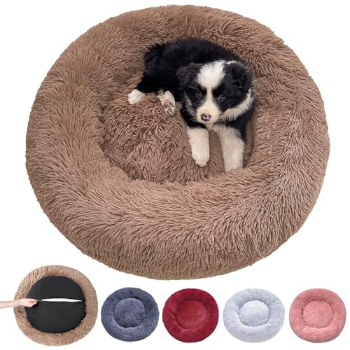 DOKLY Abnehmbares Hundekissen - Waschbarer Hundekorb - Hunde und Katzen Hundebett Anti-Stress-Hundekissen, mit Reißverschluss, maschinenwaschbar, Beige Ø80cm Durchmesser L,Beige-XS (50x50cm) von DOKLY