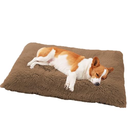 DOKLY Bett für Katzen, Kätzchen, Welpen, maschinenwaschbares Hundebett, Welpen-Katzenbett mit Kissen, Hunde- und Katzenbett, Hundebox-Matratze für kleine Hunde, Katzen (70 x 50 x 8 cm) von DOKLY