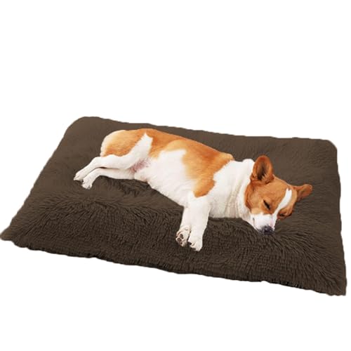 DOKLY Bett für Katzen, Kätzchen, Welpen, maschinenwaschbares Hundebett, Welpen-Katzenbett mit Kissen, Hunde- und Katzenbett, Hundebox-Matratze für kleine Hunde, Katzen (70 x 50 x 8 cm) von DOKLY