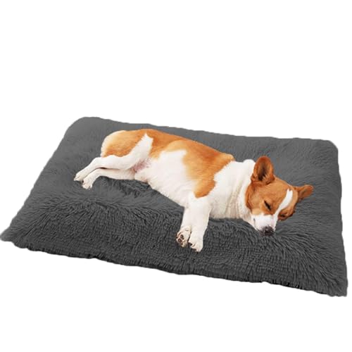 DOKLY Bett für Katzen, Kätzchen, Welpen, maschinenwaschbares Hundebett, Welpen-Katzenbett mit Kissen, Hunde- und Katzenbett, Hundebox-Matratze für kleine Hunde, Katzen (70 x 50 x 8 cm) von DOKLY