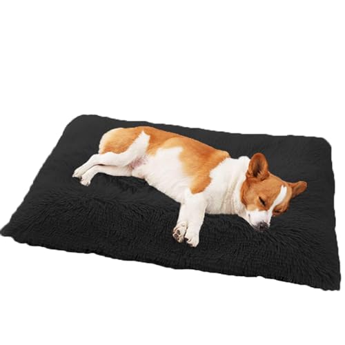 DOKLY Bett für Katzen, Kätzchen, Welpen, maschinenwaschbares Hundebett, Welpen-Katzenbett mit Kissen, Hunde- und Katzenbett, Hundebox-Matratze für kleine Hunde, Katzen (70 x 50 x 8 cm) von DOKLY