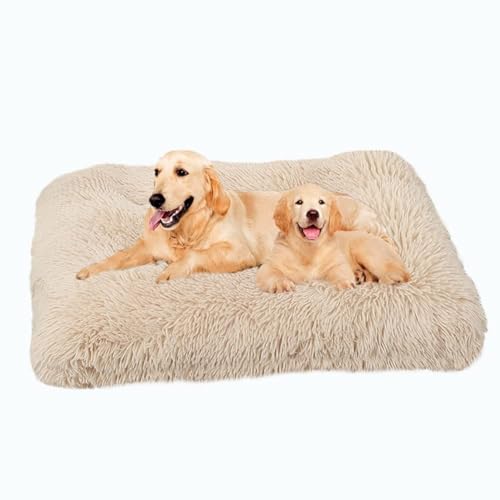 DOKLY Haustierbett Superweich,XXL, Kissen für Hunde, XL, Sofa, groß, mittel,Anti-Stress, Hundebett, flauschig, maschinenwaschbar,Beige-122x83cm von DOKLY