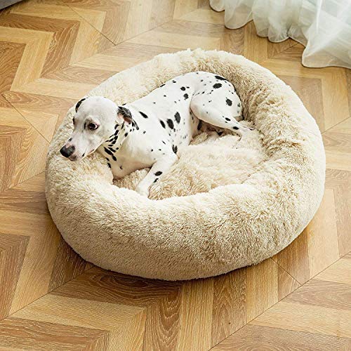 Hundesofa Katzenbett Donut,Waschbar Katzenbett Flauschig Haustierbett Rundes,Schönes Hundekörbchen Deluxe Weiches Plüsch Haustierbett für Katzen Hunde,100cm,Beige,Beige-100cm von DOKLY