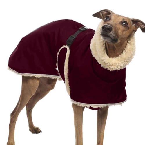 Whippet Mantel Whippet Windhund,Winter Haustier Hund Kleidung,Fleece gefütterte Hundejackewasserdichte Dicke Hundejacke Kleidung,Wine Red-4XL von DOKLY