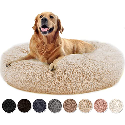 waschbare Haustierbett,Hundebett Weich waschbar Donut Kissen Hund Hundebett Donut Premium Katzenbett in Doughnut-Form kleine Hunde und klein Dunkelgrau 70x70x20cm,Beige-100x100x20cm von DOKLY