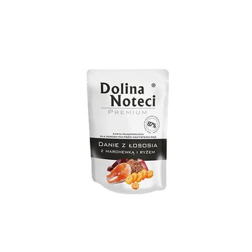 DNP Sp. z o.o. Dolina Noteć Dog 300G Lachs mit Karotte und Reis, Nassfutter für Hunde von DOLINA NOTECI