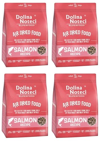 Dolina Noteci Glutenfrei Superfood Trockenfutter für Hunde - Lachsgericht 1kg (4-er Pack) von DOLINA NOTECI