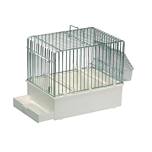 Käfig für Vögel und Rückruf 24 x 16 x 20 h Bird CAGE auch als Transportkäfig von DOMUS MOLINARI